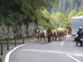 Grossglockner