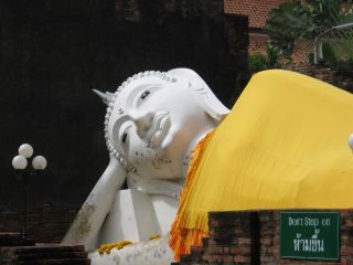 buddha