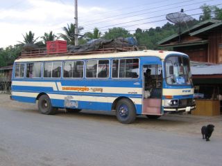 Bus