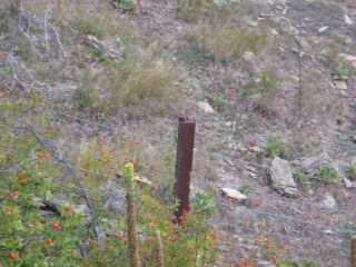 Central Otago Rail Trail