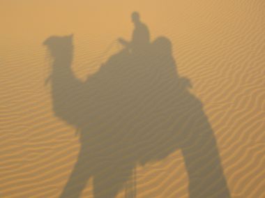 Shadowcamel