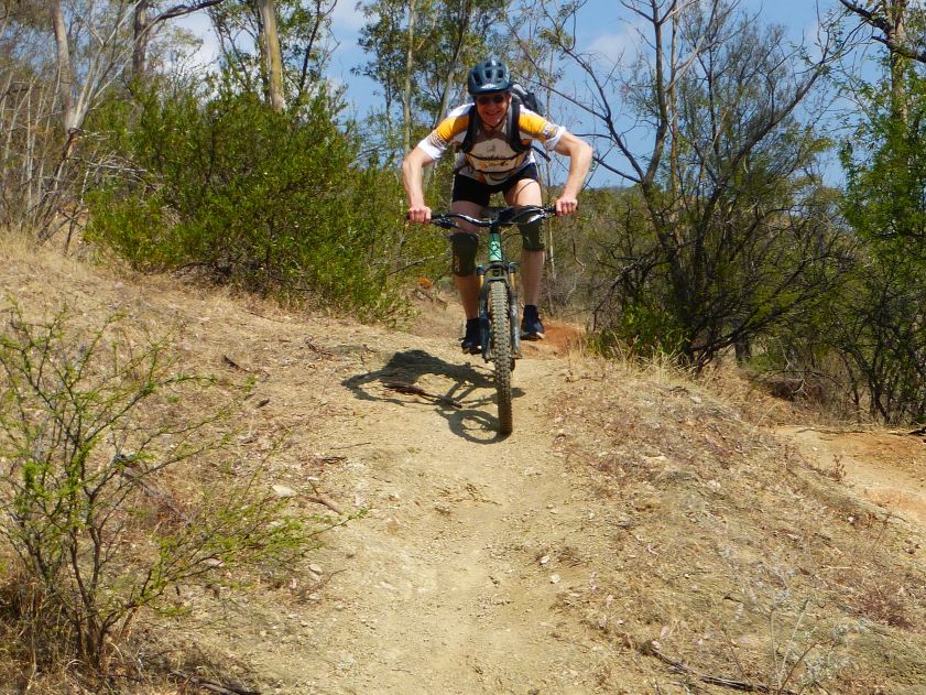 Tom Trail