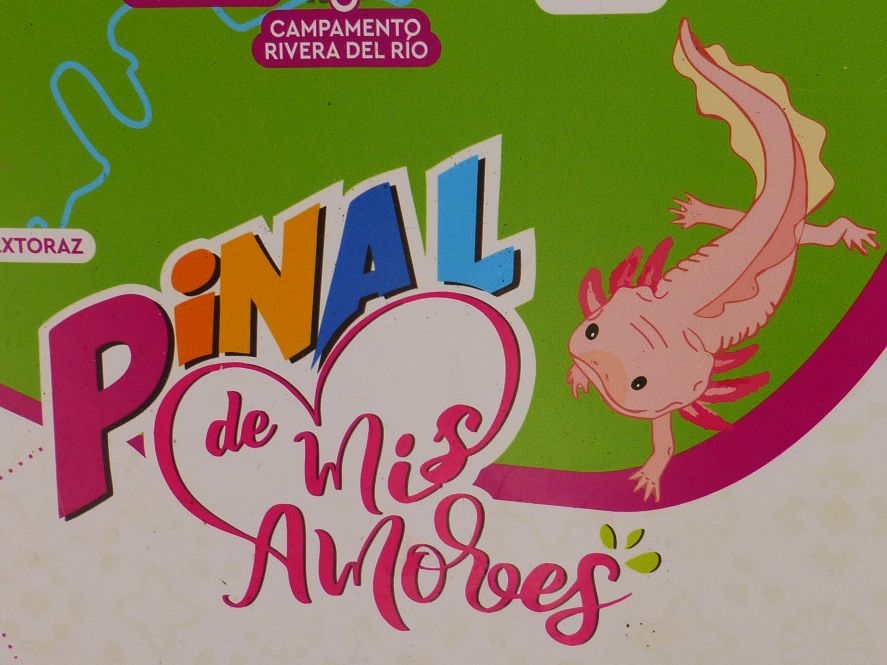 Axolotl